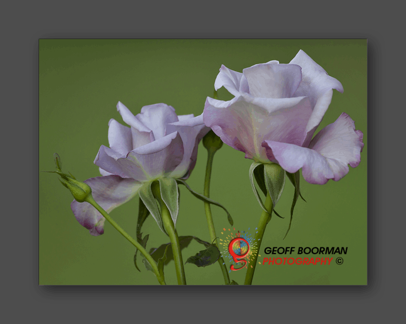 Wombolly Metal - Roses